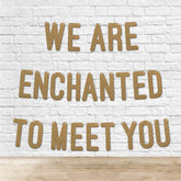 Glitter Baby Shower Banner By KreateSquare We are Enchanted to Meet you Design Gender Reveal Party Garland Decoration for Boys or Girls Baby Shower Celebration 7 Inch